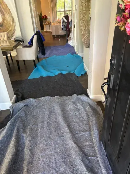 Larkspur Floors Are Dealing With Larkspur Surface Identification Cleaning