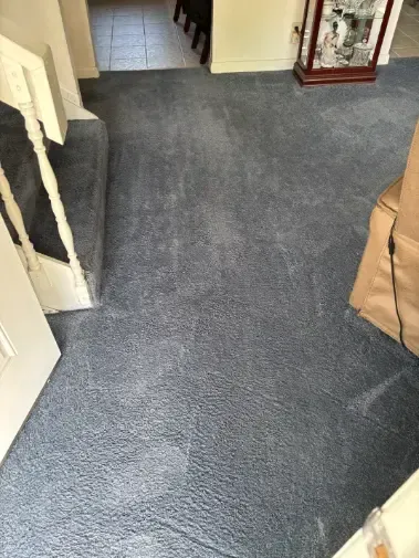 Broomfield Interlocken Corridor Commercial Cleaning