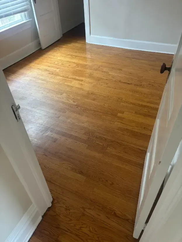 Broomfield Steam Cleaning 
