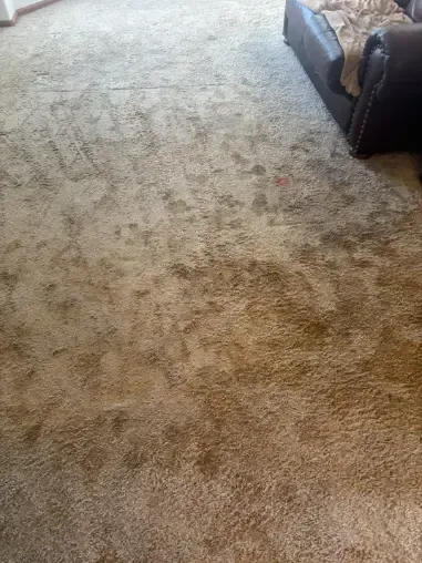 Elizabeth Red Clay Cleaning