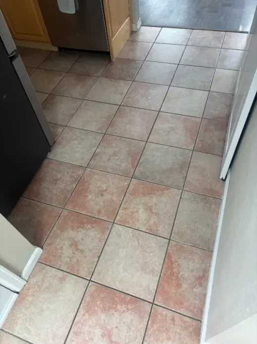 Elizabeth Iron Sources Cleaning