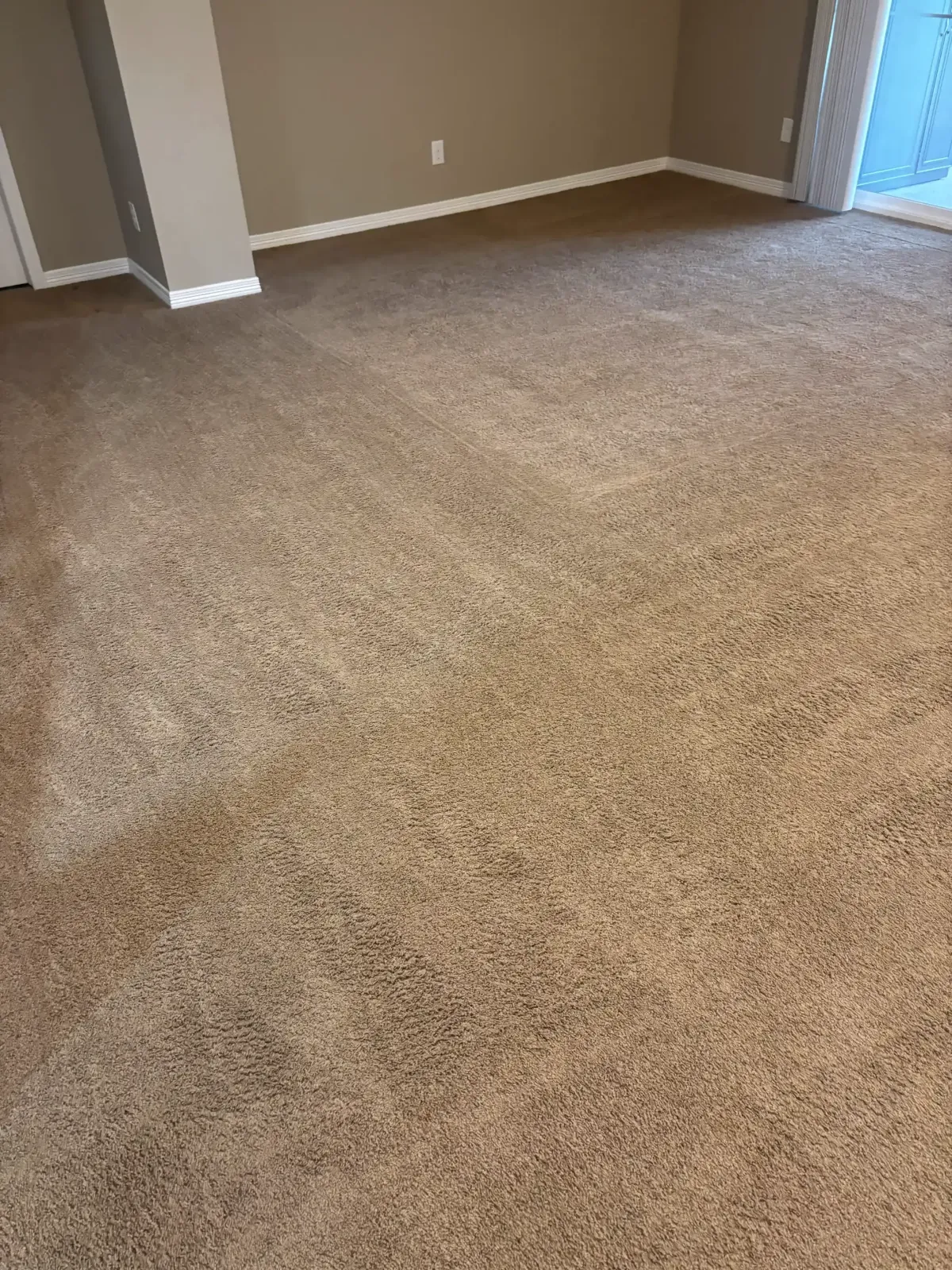 Side-by-side comparison of the best carpet cleaning companies serving Parker CO in 2026