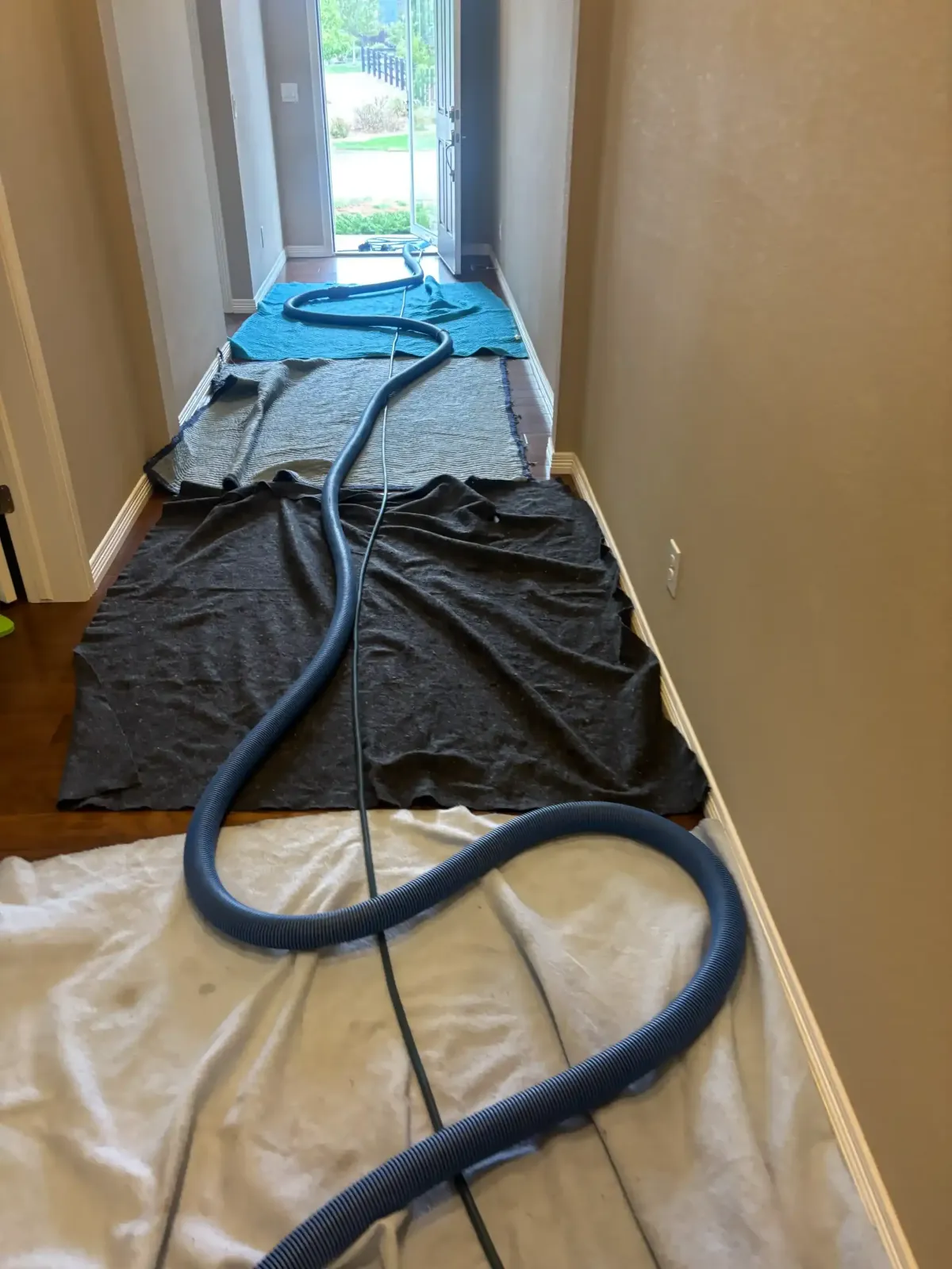 Homeowner guide to choosing an IICRC certified carpet cleaner in Parker CO