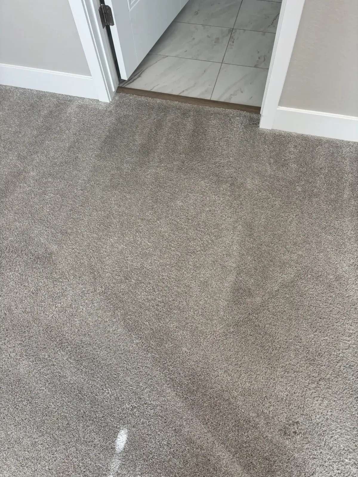 Professional carpet cleaning technician using truckmount equipment in a Castle Rock, CO home