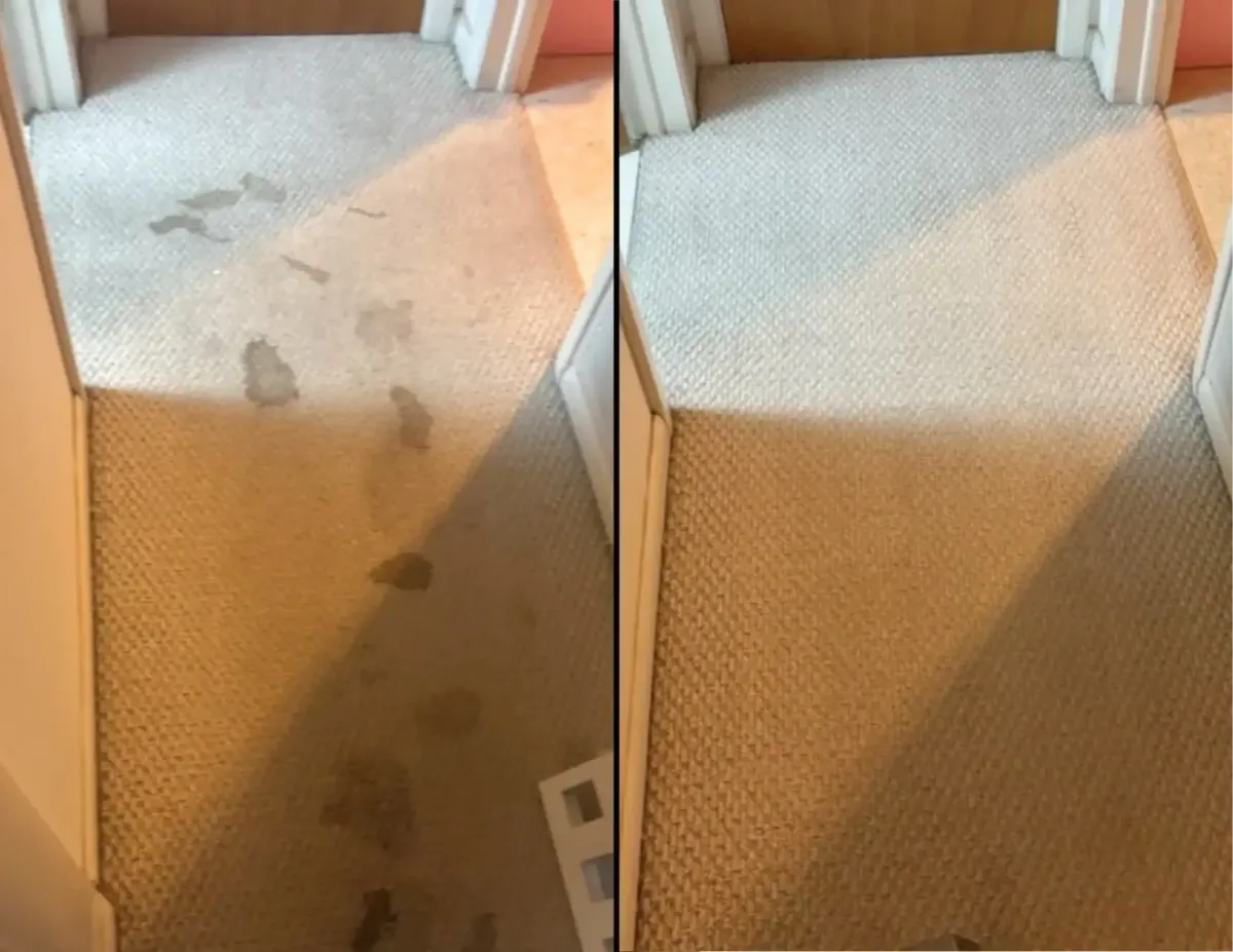 Dirt Carpet Cleaning