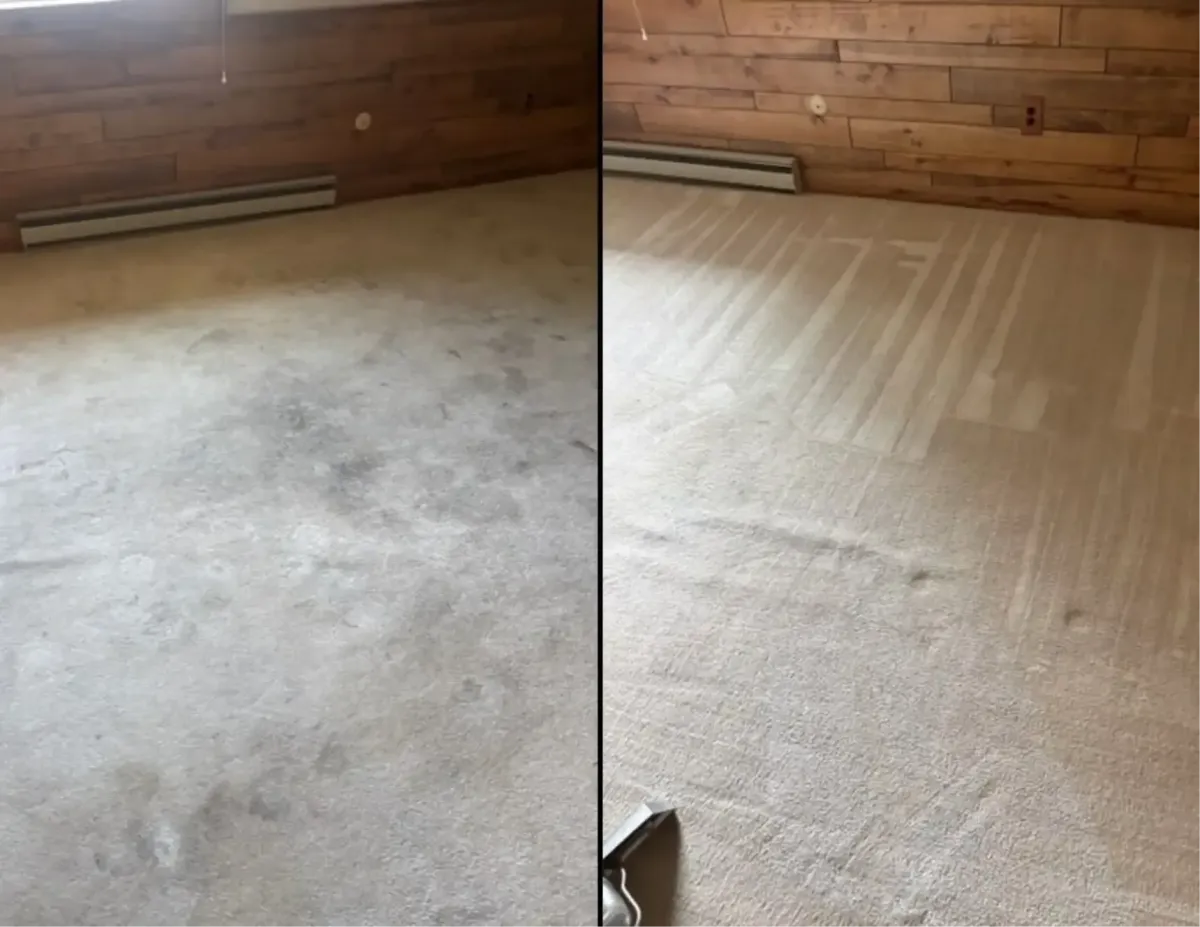 Upholstery Cleaning