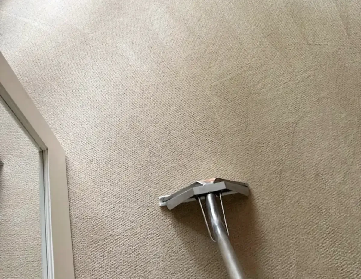 Room Carpet Cleaning