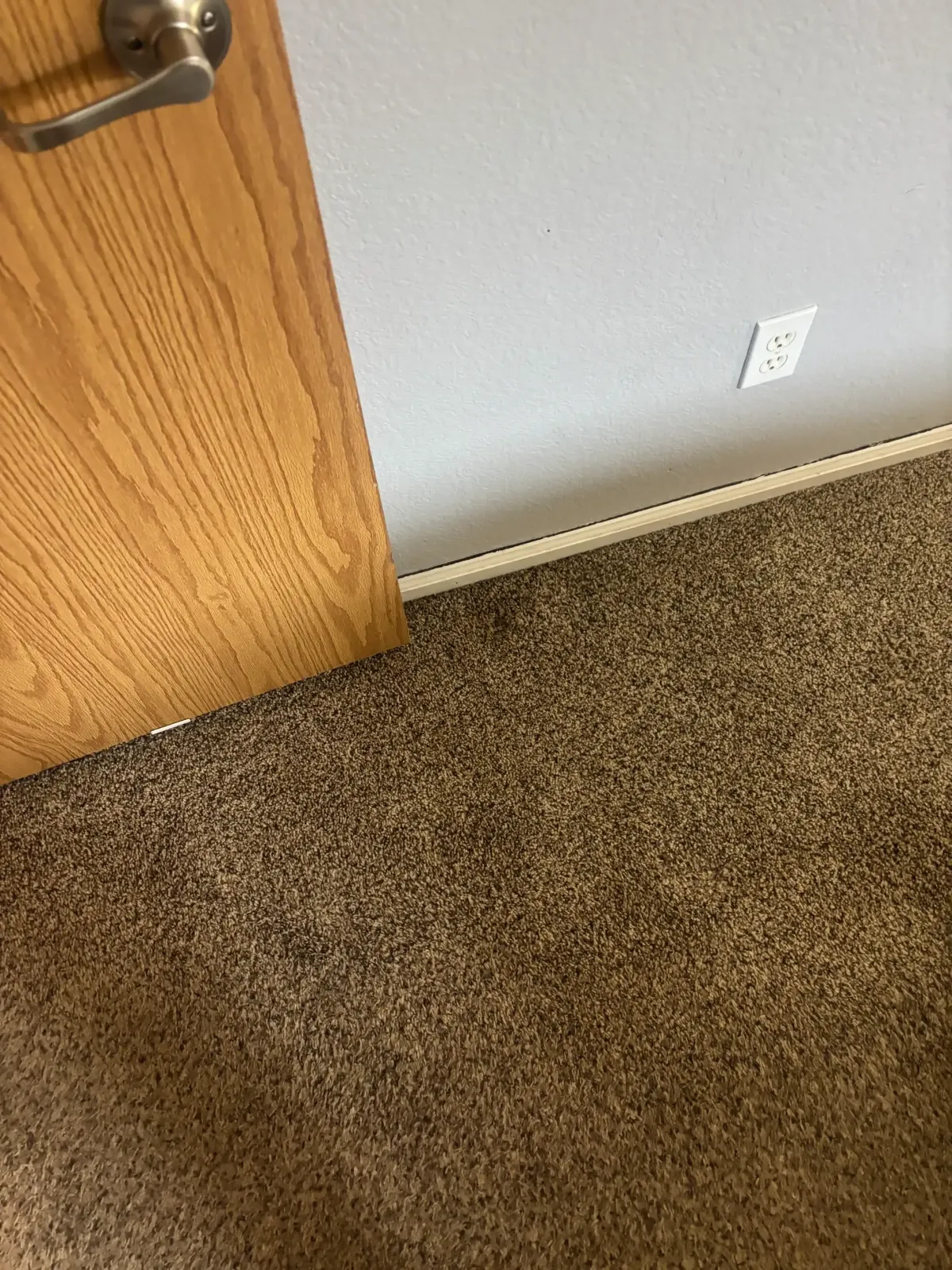 Professional portable carpet cleaning unit being set up in the elevator lobby of a downtown Denver high-rise at 19th and Lawrence