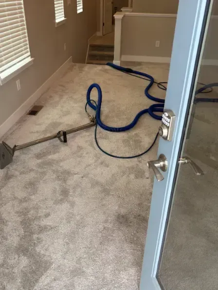 Sedalia Households Complex Stain Cleaning