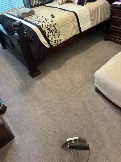 Sedalia Upholstery Acreage and Equestrian Homes Organic Cleaning