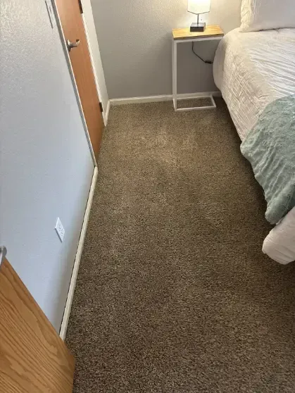 Sedalia Same-Day Real Estate Carpet Cleaning