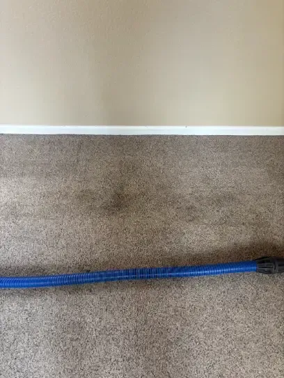 Sedalia Sedalia Drainage Risk Carpet Cleaning 