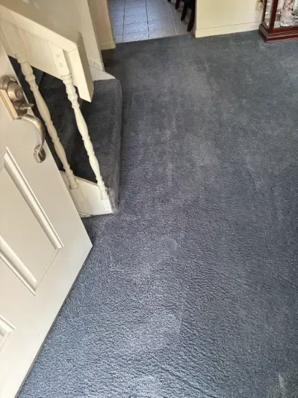 Franktown Households Complex Stain Cleaning