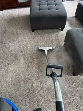 Franktown Upholstery Wool and Natural Fiber Cleaning