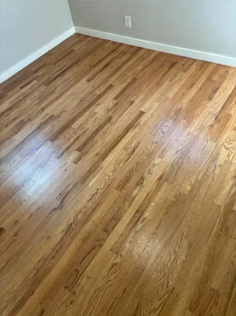 Franktown Steam Mops LVT Floor Cleaning