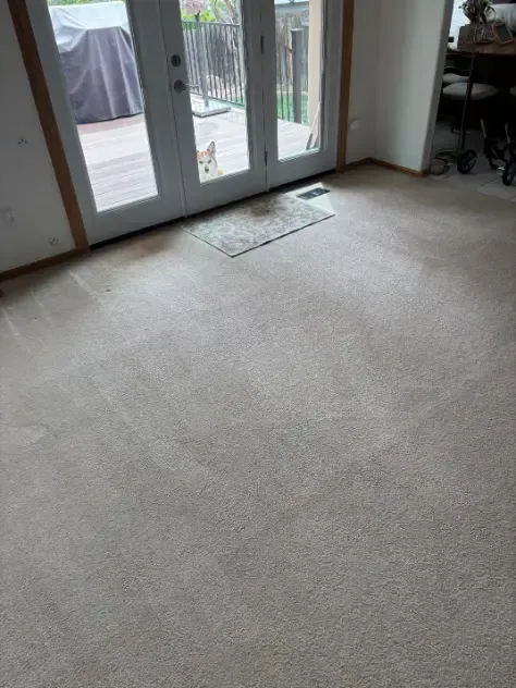 Franktown Same-Day Pre-Event Guest Arrival Carpet Cleaning 