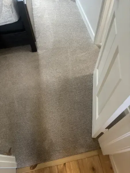 Franktown Emergency Black Water Carpet Cleaning 