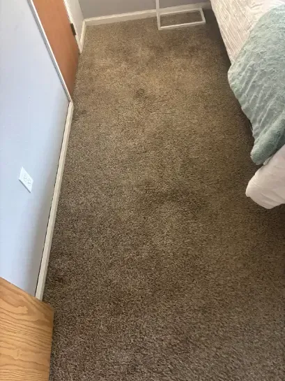 Castle Pines Berber Carpet Cleaning Red Clay