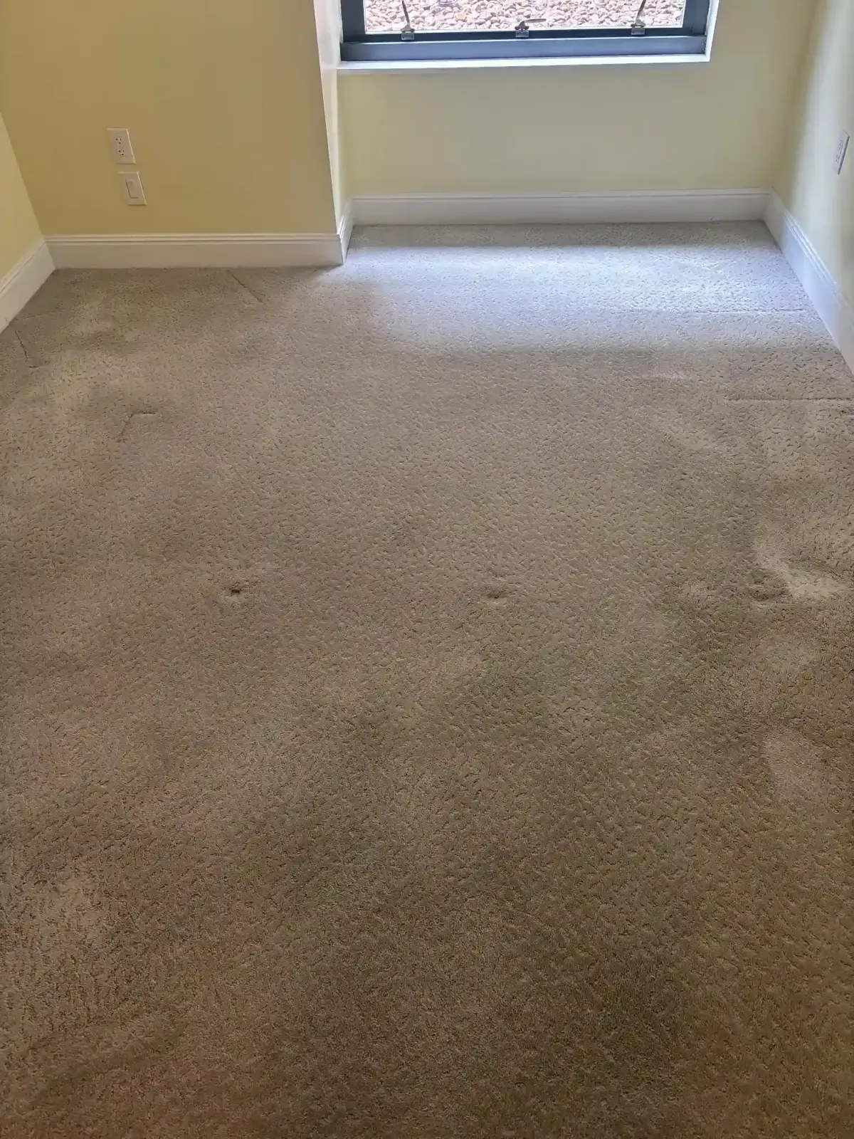 Carpet cleaning truckmount setup at a Highlands Ranch home