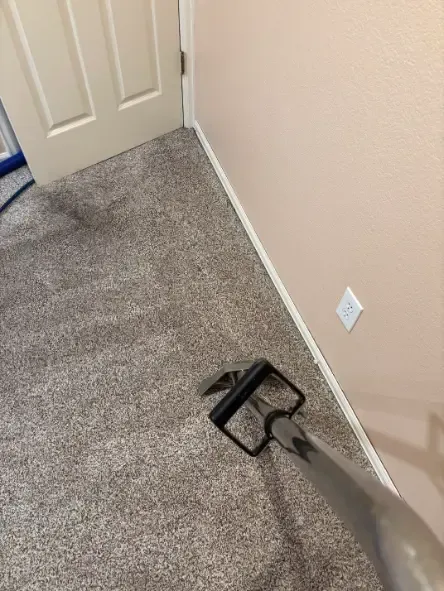 Highlands Ranch Berber Loop Pile Carpet Cleaning