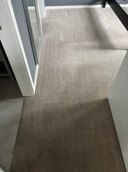 Highlands Ranch Berber Oil Extraction Carpet Cleaning