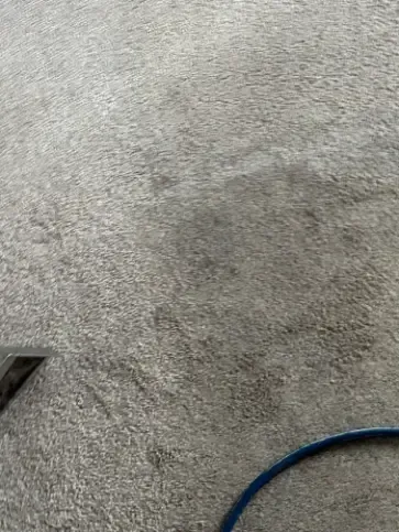 Highlands Ranch Berber Road Treatment Carpet Cleaning