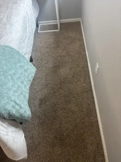Highlands Ranch Berber Water Mineral Grit Carpet Cleaning