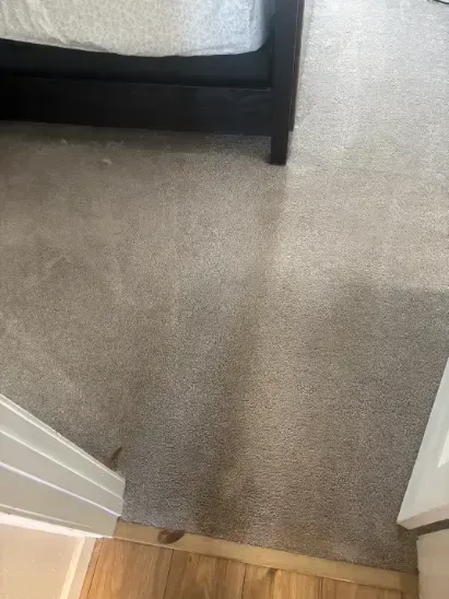 Highlands Ranch Berber Carpet Cleaning