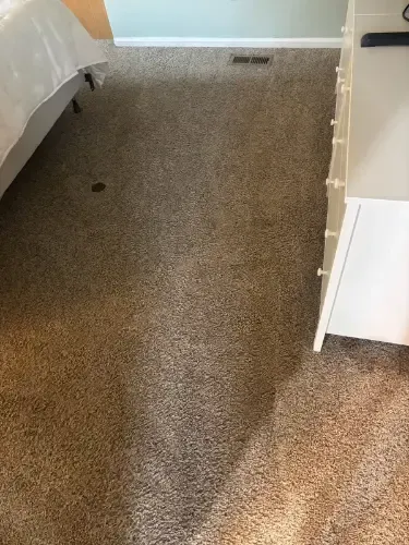 Professional carpet cleaner inspecting and cleaning Berber carpet in a Lone Tree home