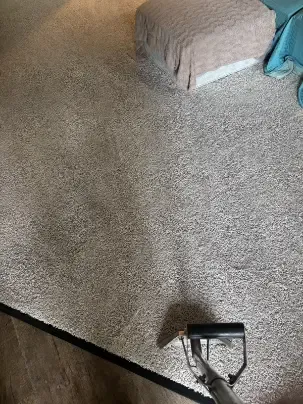Lone Tree Berber Loop Pile Carpet Cleaning