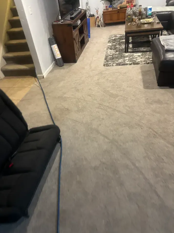 Lone Tree Berber Road Chemical Carpet Cleaning