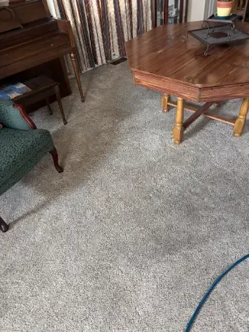 Lone Tree Berber Wool Carpet Cleaning