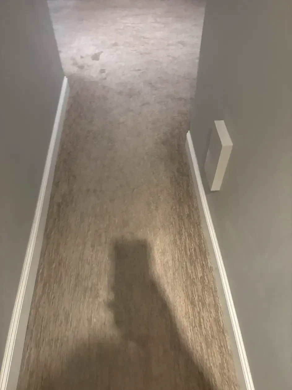 Lone Tree Berber Wicking Carpet Cleaning