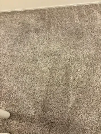Parker Berber Loop Pile Carpet Cleaning