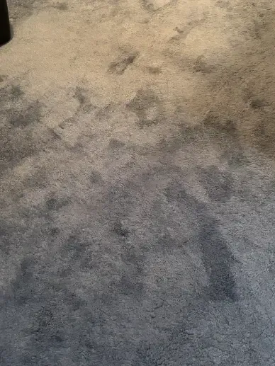 Parker Berber Red Clay Carpet Cleaning