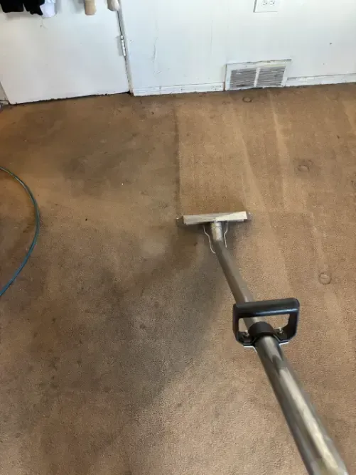 Parker Berber Wicking Sots Carpet Cleaning