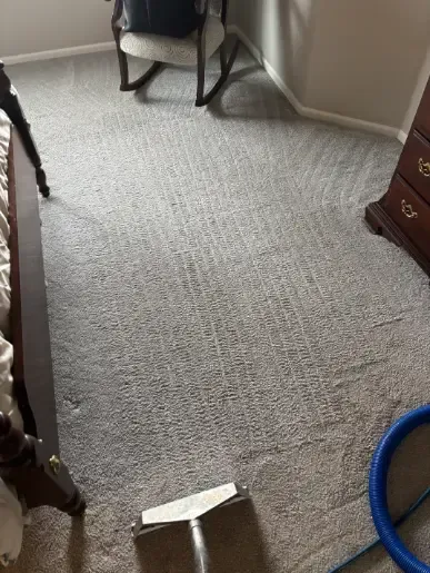 Centennial Berber Willow Creek arpet Cleaning