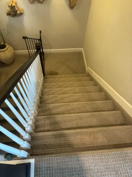 Centennial Berber Wool Carpet Cleaning