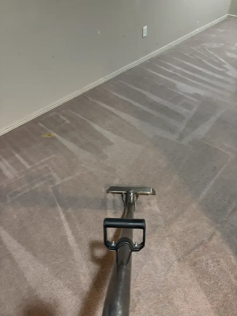 Westminster Berber Wool Carpet Cleaning