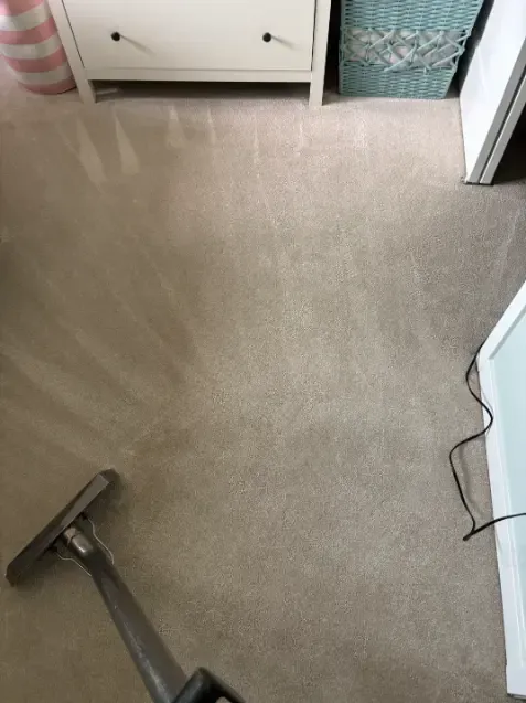 Westminster Berber Olefin Carpet Cleaning 