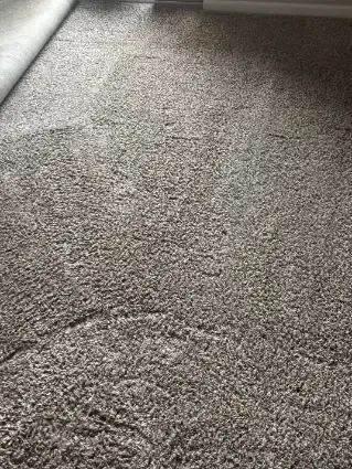 Westminster Berber Loop Pile Carpet Cleaning 