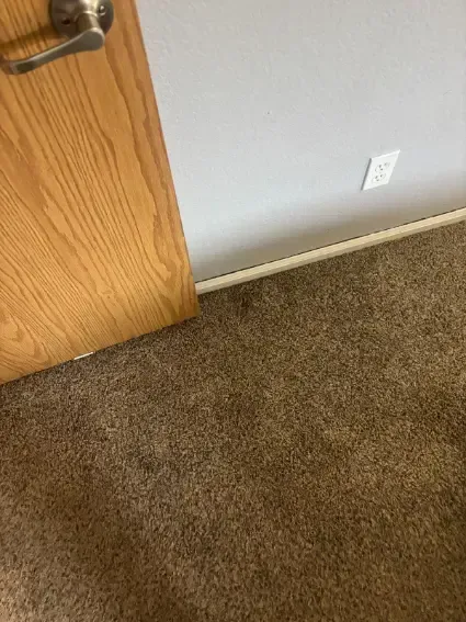 Aurora Berber Wicking Chemical Carpet Cleaning