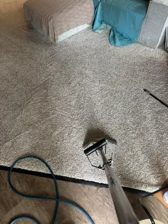 Aurora Berber Service Area Carpet Cleaning