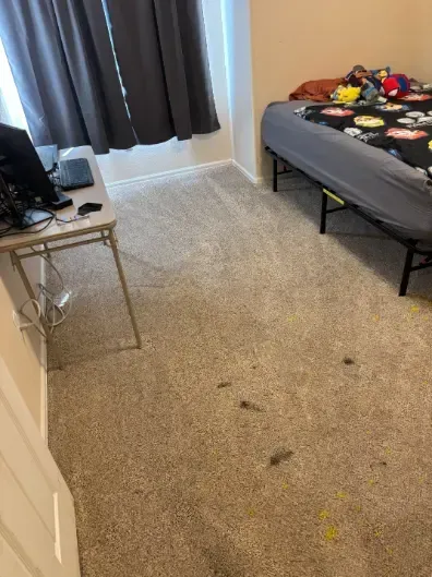 Wheat Ridge Berber Carpet Cleaning