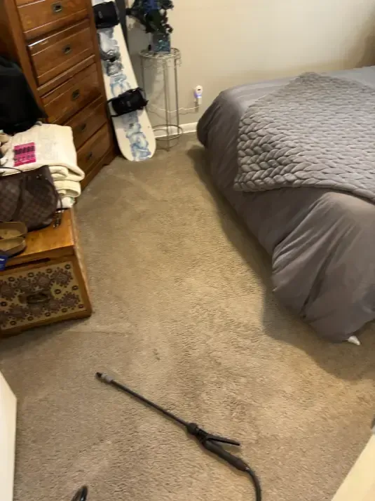 Wheat Ridge Berber Service Area Carpet Cleaning