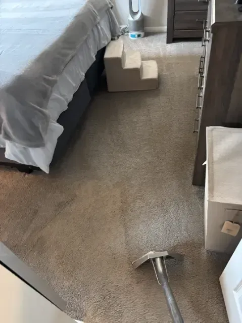 Wheat Ridge Berber Wicking Road Chemical Carpet Cleaning