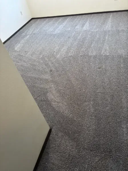 Broomfield Berber Wool Carpet Cleaning 