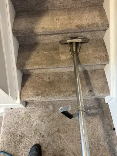 Broomfield Berber Commercial Oil Carpet Cleaning 
