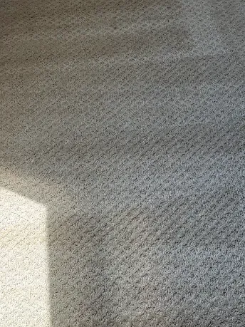 Arvada Berber Carpet Cleaning