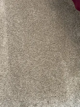 Arvada Berber Carpet Cleaning Cost